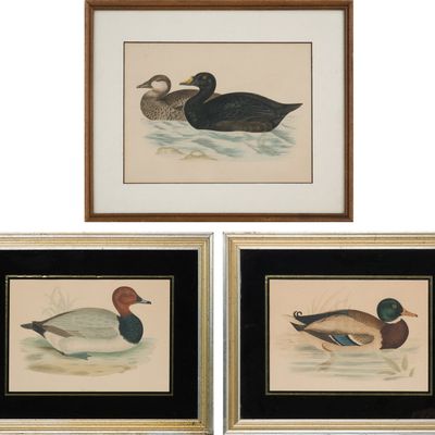 Three Duck, Prints