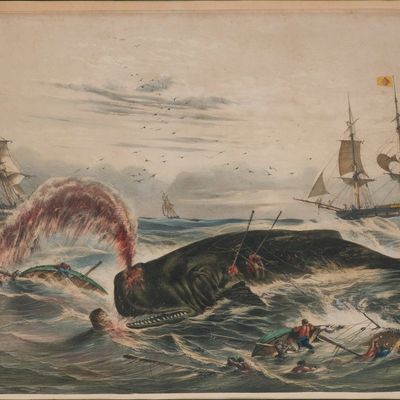 Louis LeBreton, French 1818-1866, Sperm Whale Hunting off the Coast of Mexico, Lithograph