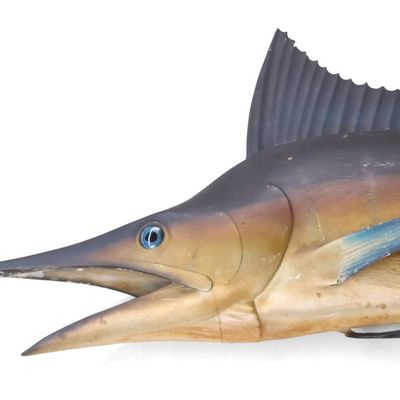 Large Marlin Fish Mount