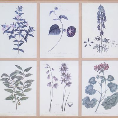 Sale Photo Thumbnail #73: Group of Botanical, Prints
