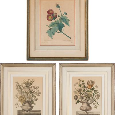 Sale Photo Thumbnail #77: Three Botanical, Prints