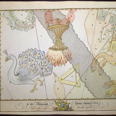 Bevis, Rare - Constellation or Star Chart of Pavo (Peacock), Altare (Altar) Triangularum (Triangle)