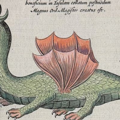 Kircher, pub. 1682 - Dragons