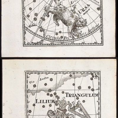 Thomas - 6 Constellation or Celestial Chart Engravings