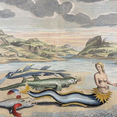 Valentijn - Mermaid, Sawfish, Fish