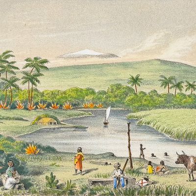 Perkins, Hawaii - Waiakea or View in Hilo