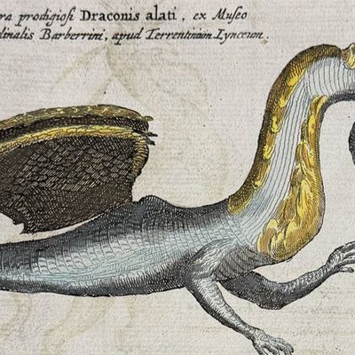 Kircher, pub. 1682 - Dragons