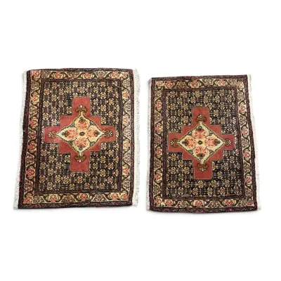 Sale Photo Thumbnail #284: Pair of small Persian-style accent rugs featuring a central geometric medallion in terracotta, cream, and black tones with fringed edges.