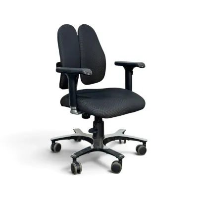 Sale Photo Thumbnail #262: Ergonomic office chair featuring a unique split dual-backrest design, black mesh upholstery, adjustable armrests, and a five-caster rolling base.