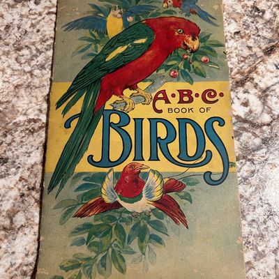 Vintage bird book 