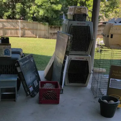 Dog & Pet Supplies Collection - Pet Carriers, Exercise Pens, Cooling Fans, Bowls & Feeders