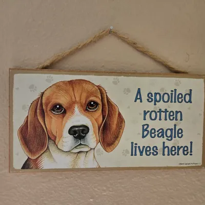 Sale Photo Thumbnail #130