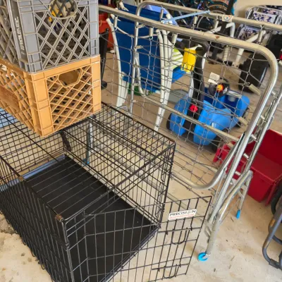Sale Photo Thumbnail #105: Precision brand black wire dog crate with a plastic tray, shown alongside a folding metal rollaway bed frame and plastic milk crates.