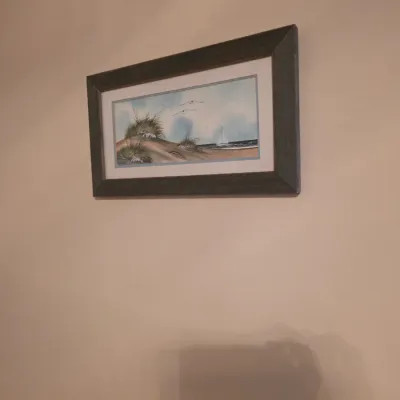 Sale Photo Thumbnail #81: Framed watercolor painting depicting a coastal scene with sand dunes, seagulls, and a sailboat, housed in a rustic dark wood frame.