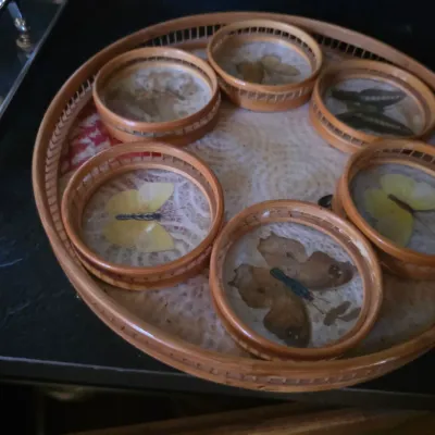 Sale Photo Thumbnail #26: Vintage bamboo and wicker coaster set with matching round tray, featuring preserved real butterflies under glass, circa mid-20th century.
