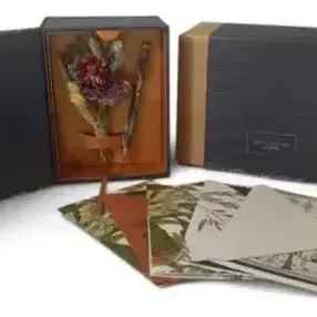 Sale Photo Thumbnail #28: Outlander Stationery Set – 20 Cards, Something Borrowed, Thank You, Birthday & More