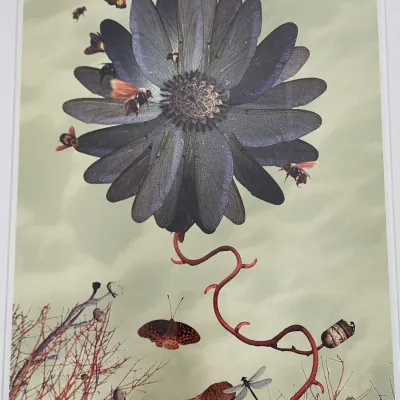 Sale Photo Thumbnail #31