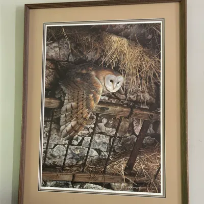 Sale Photo Thumbnail #72