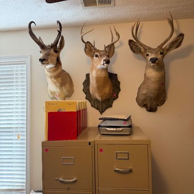 Sale Photo Thumbnail #76