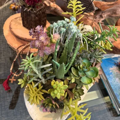 Sale Photo Thumbnail #75: sea shell filled with artificial plants
