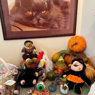 Sale Photo Thumbnail #83: fall decorations