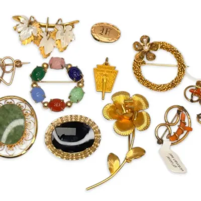 Scarab coral and more vintage and antique brooches