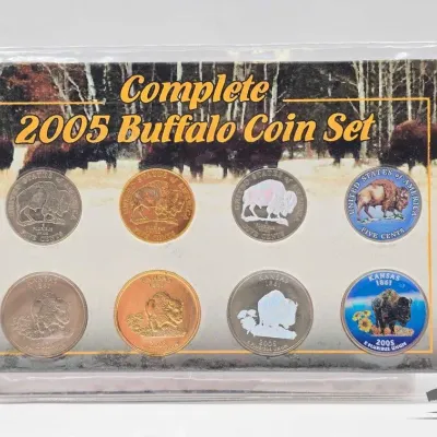 1607 2005 complete buffalo coin set