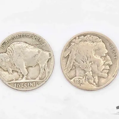 1631 2 1936 buffalo nickels