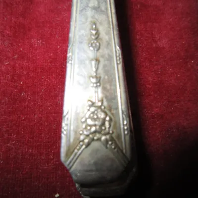 Close-up of a vintage silver-plated flatware handle featuring an embossed floral and scroll motif, resting on a red velvet lining.