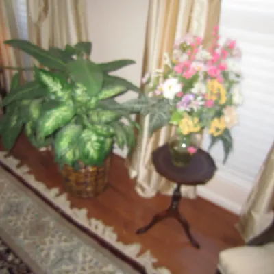 Large potted dieffenbachia plant in a woven basket alongside a small mahogany pedestal table holding a colorful floral arrangement.