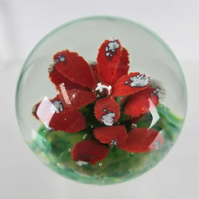 Sale Photo Thumbnail #536