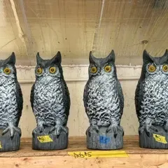 Four molded plastic great horned owl decoys with yellow eyes, designed for garden pest control.