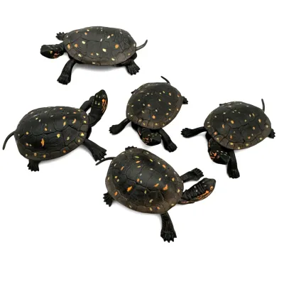 Sale Photo Thumbnail #13: Set of five Boehm porcelain spotted turtle figurines, realistically detailed with yellow and orange markings on dark shells.