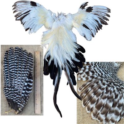 Sale Photo Thumbnail #156: 17 pc Hunting Lodge Bird Wings, Tail Feathers, Cabin Taxidermy Feather Decor