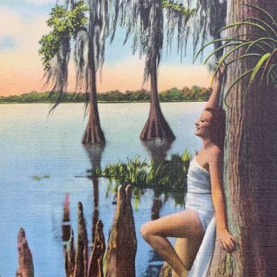 Sale Photo Thumbnail #378: 100 Antique to Vintage Louisiana Purchase Exposition, Florida, US States Tourist Souvenir Postcards