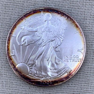 Sale Photo Thumbnail #236: Toned Brilliant Uncirculated 2001 American Eagle Silver Dollar Coin