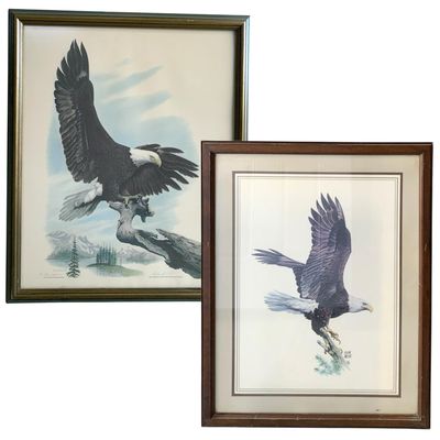 Sale Photo Thumbnail #462: 2 Dramatic 1970s Vintage Framed Bald Eagle Lithographs: Artist Roland Veit and Hugh Hirtle