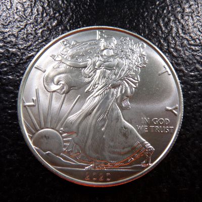 2020 AMERICAN SILVER EAGLE DOLLAR