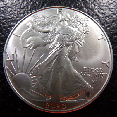 2023 AMERICAN SILVER EAGLE DOLLAR