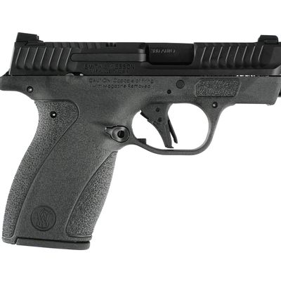 Sale Photo Thumbnail #405: Smith & Wesson Bodyguard 2.0 .380 Pistol