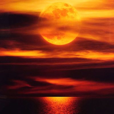 Sale Photo Thumbnail #3: PETER LIK, Photography, Moonlight Reflections