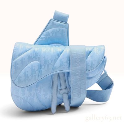 Sale Photo Thumbnail #579: Dior x ERL California Blue Oblique Mirage Quilted Technical Fabric Saddle Bag