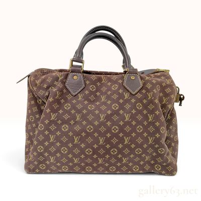 Louis Vuitton Speedy 30 Brown Monogram Mini Lin Canvas Handbag