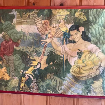 Sale Photo Thumbnail #46: Vintage Dean Cornwell illustration print depicting a tropical harvest scene with a woman holding a basket of fruit, macaws, and toucans, mounted on a red border.