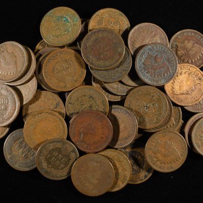 (50) INDIAN CENTS