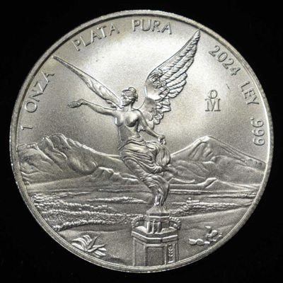 2024 PLATA PURA 1 OZ .999 SILVER ROUND