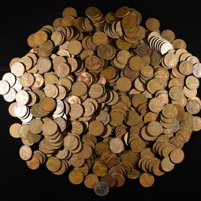 (500) WHEAT CENTS