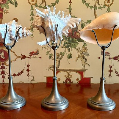 A Trio of Natural History Specimens on Pedestal Stands