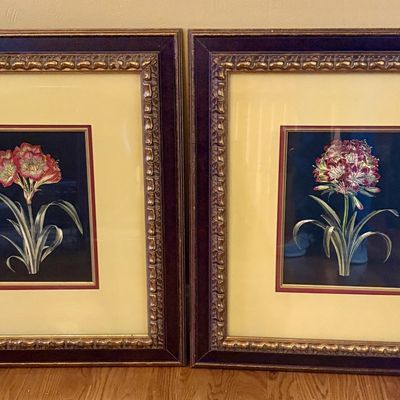 A Pair of John-Richard Framed Hand-Colored Botanical Prints