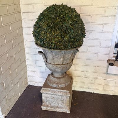 Weathered Metal Garden Urn on Pedestal with Preserved Boxwood Topiary Ball